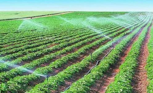 美女酒店扣逼视频播放农田高 效节水灌溉